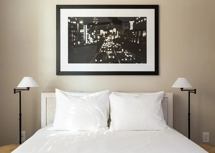 Kasa Freemorewest Charlotte